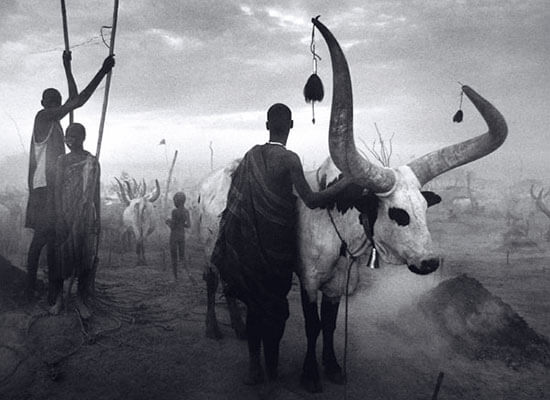 sebastiao-salgado-kettle