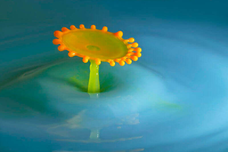 Corrie White water drop photography