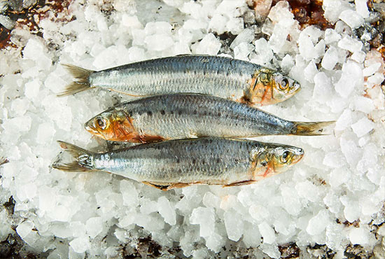 francesco tonelli food photography