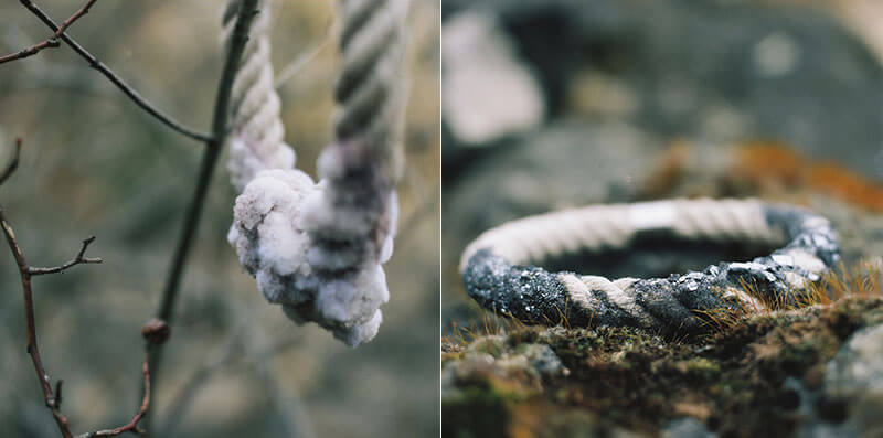 virus gioielli organici