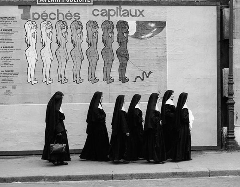 foto divertenti rene maltete 