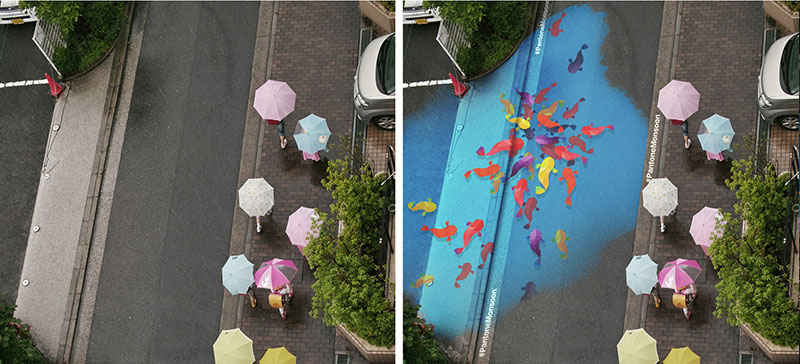 arte di strada project monsoon prima e dopo