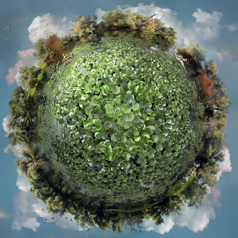 mondi immaginari di catherine nelson