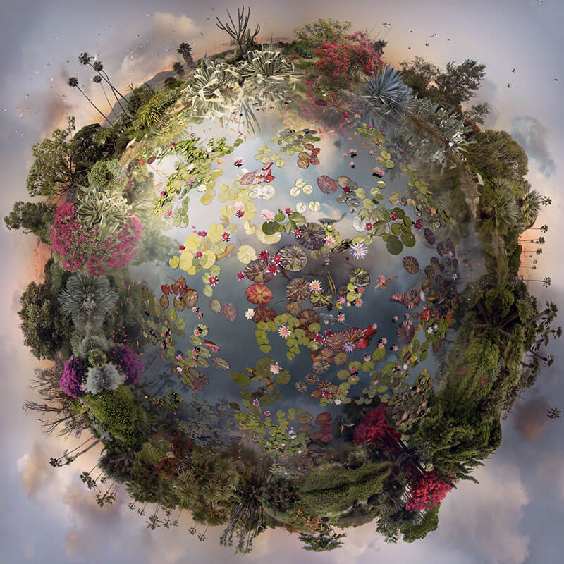 catherine nelson collage di foto