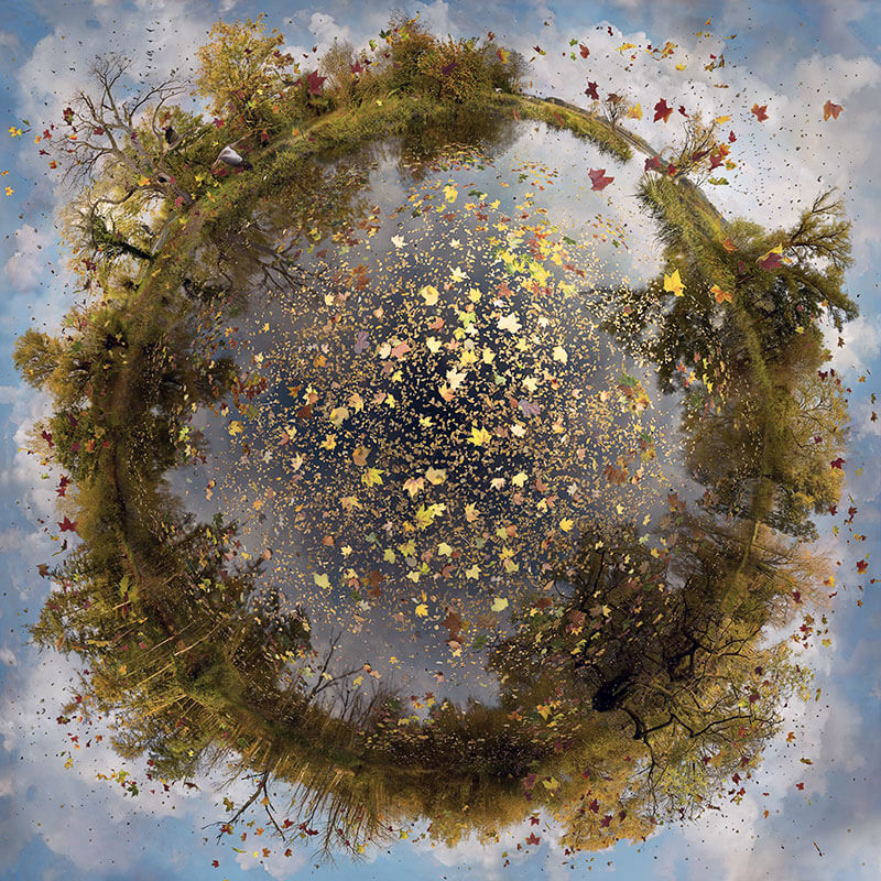 catherine nelson photography