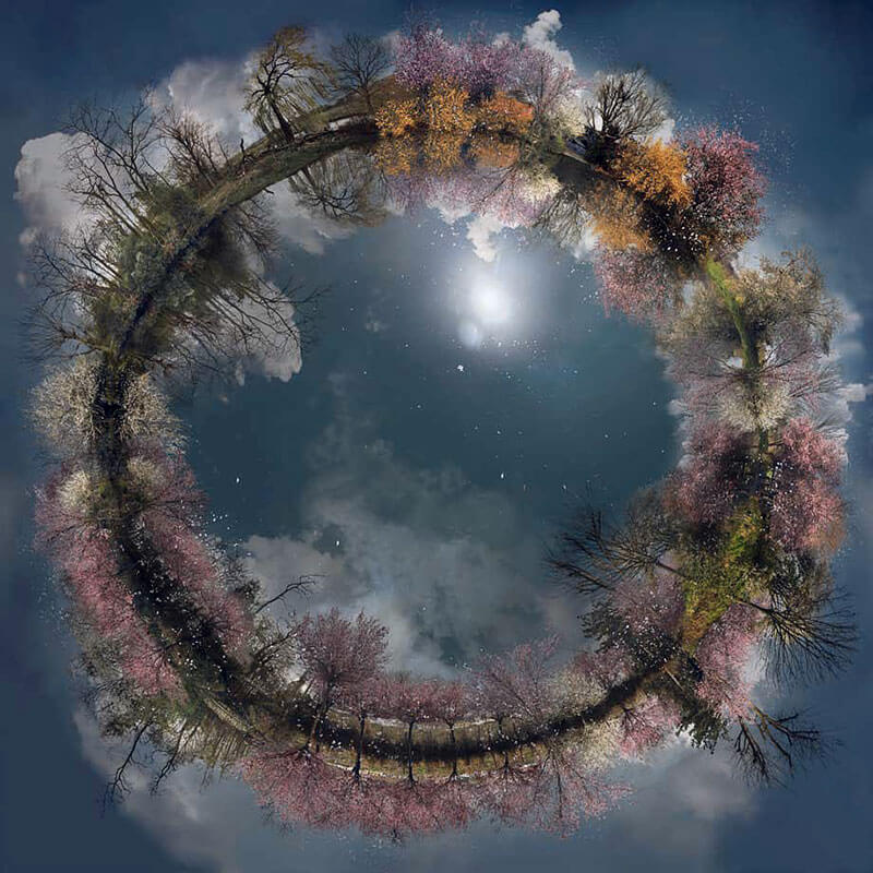 mondi in miniatura di catherine nelson