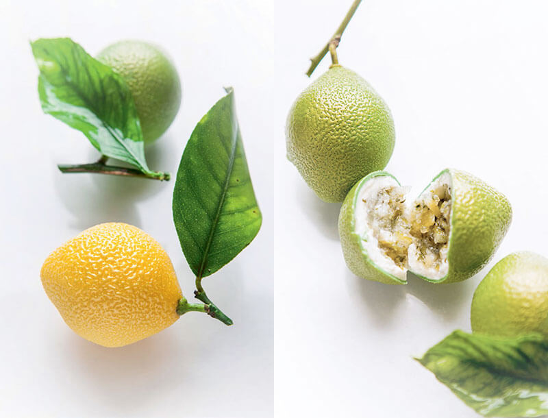 arte della pasticceria contemporanea