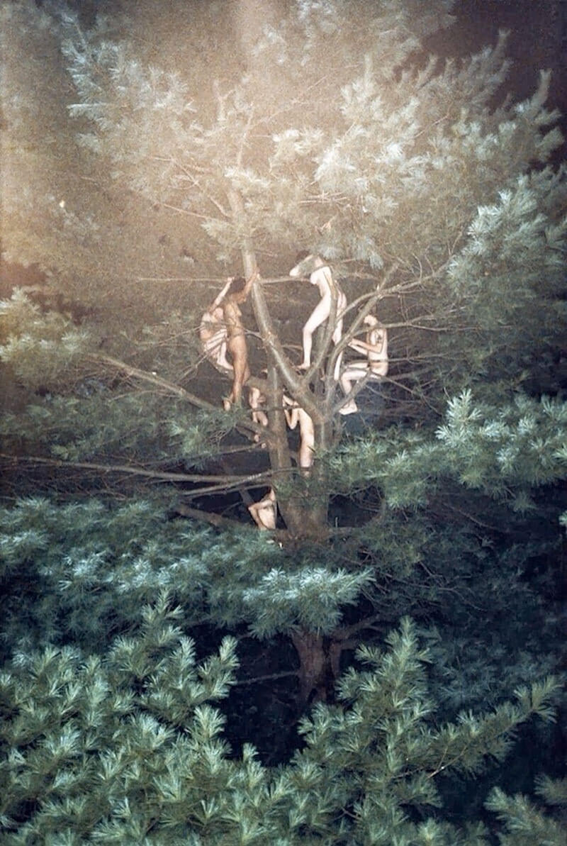 Fotografia Contemporanea di Ryan McGinley