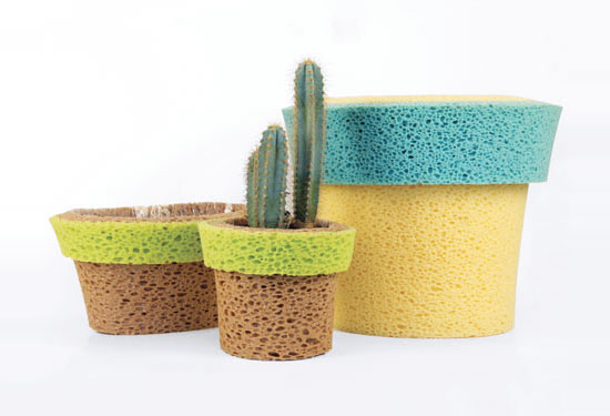 vasi di spugna - stefano claudio bison