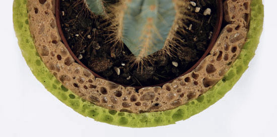 vasi di spugna colorata