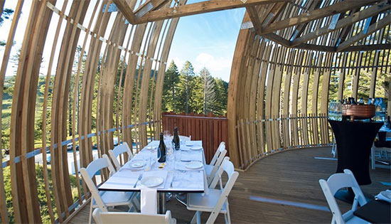 ristorante sull'albero