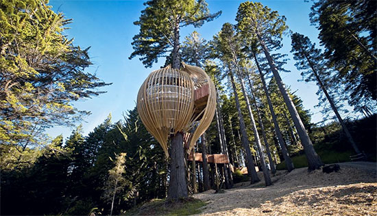 ristorante sull'albero nuova zelanda