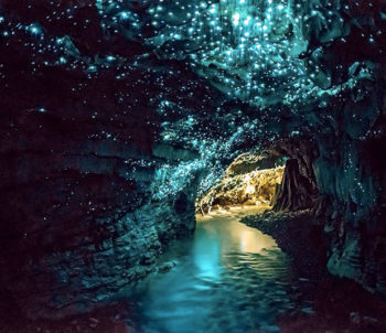 waitomo glowworm caves