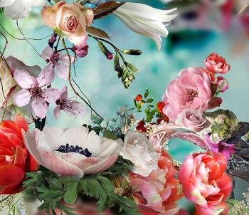 artist isabelle menin photography