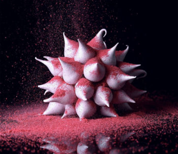 Dinara Kasko - Torte di design