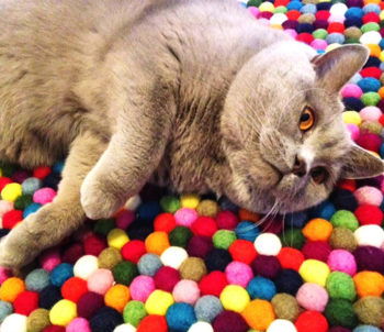 tappeti personalizzati artigianali fatti a mano