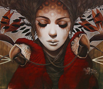 Ilustrazioni Arte magica di sophie wilkins