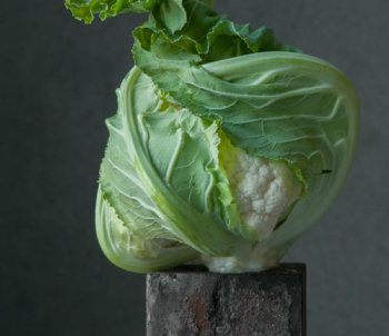 Lynn Karlin food photography ortaggi su piedistallo