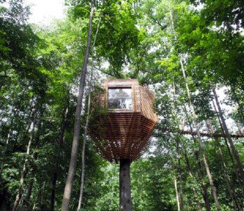 Casa sull'albero Atelier Lavit Origin
