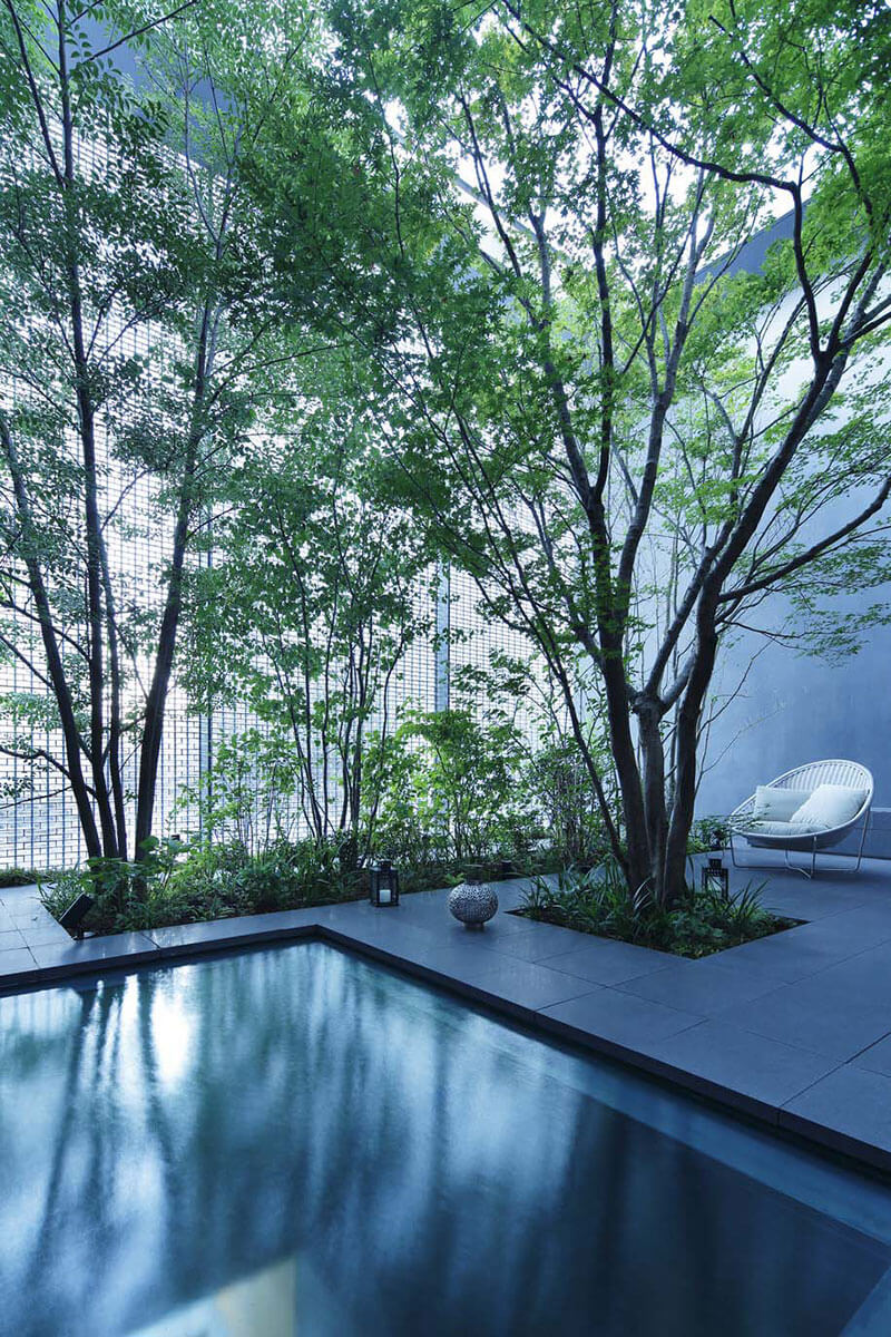 Optical Glass House internal garden