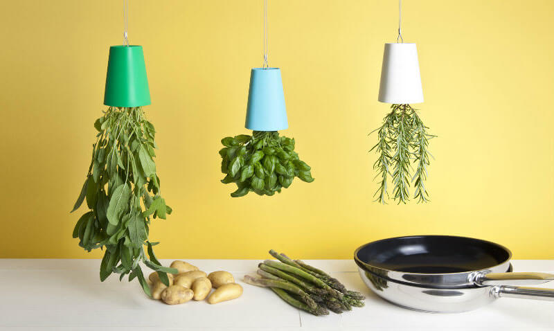 Accessori colorati per la cucina Sky Planter Boskke