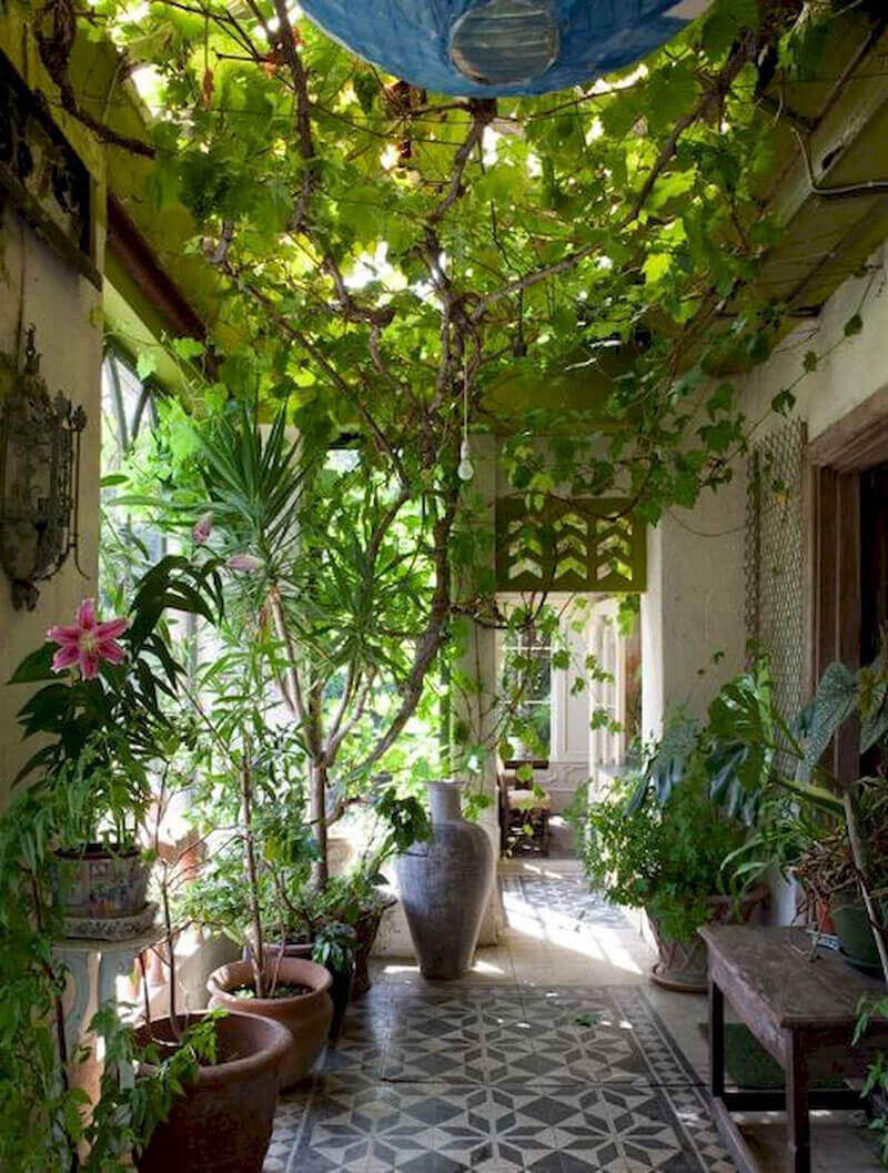 idee originali per la casa giardino interno