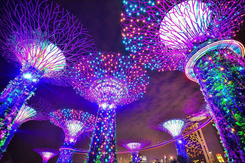 Supertrees Gardens by the Bay Singapore