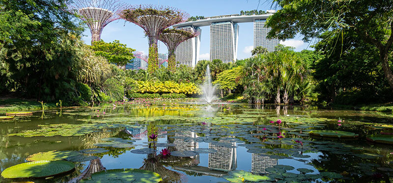 Gardens by the Bay riqualificazione urbana Singapore