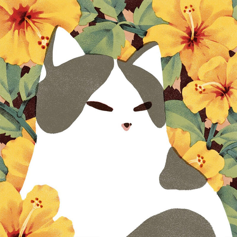 Jeannie Phan illustrazioni di gatti