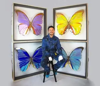 pierre brault plexiglass artist