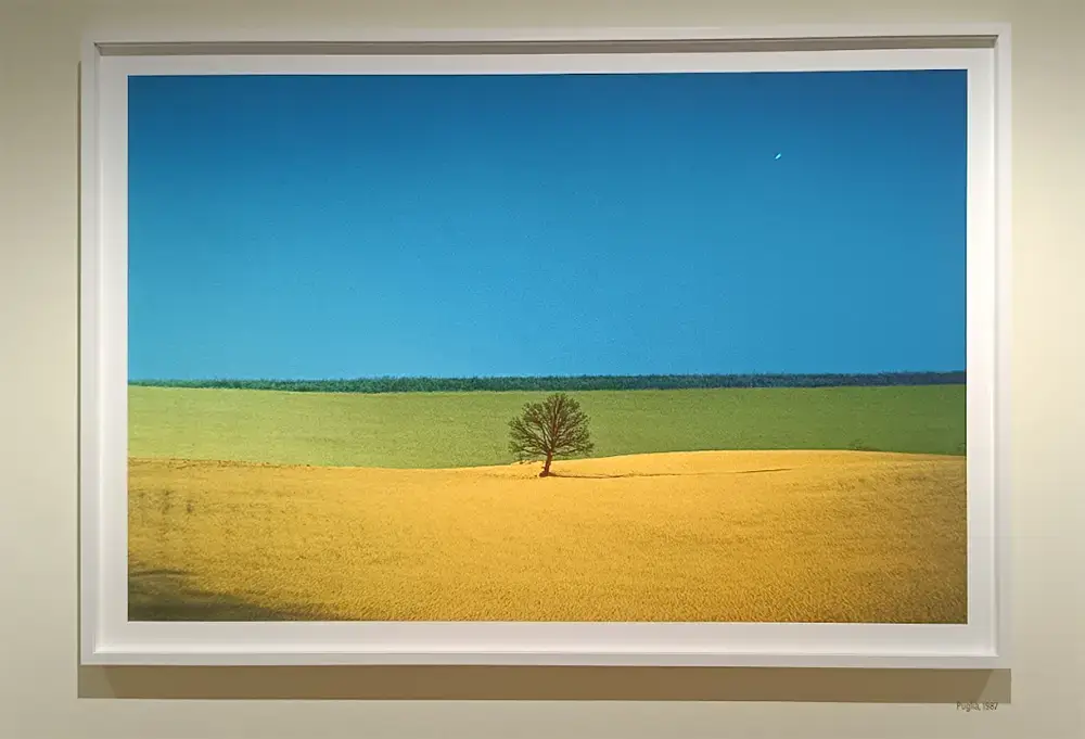 Puglia 1987 © Franco Fontana